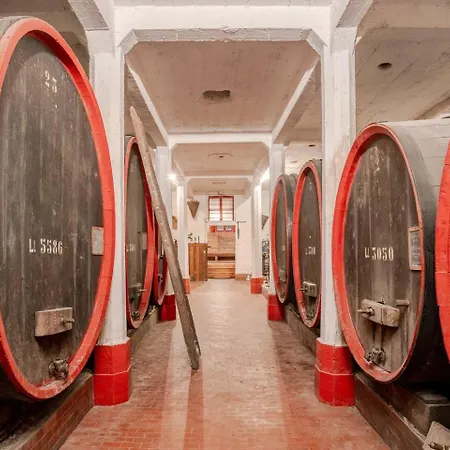 Dimora Perla Di Villa - Historical Wine Retreat Near Bernina Express Villa di Tirano Exterior photo
