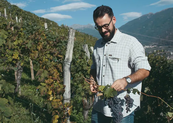Dimora Perla Di Villa - Historical Wine Retreat Near Bernina Express